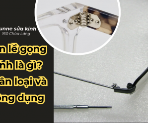 Bản lề gọng kính là gì? Phân loại và Công dụng